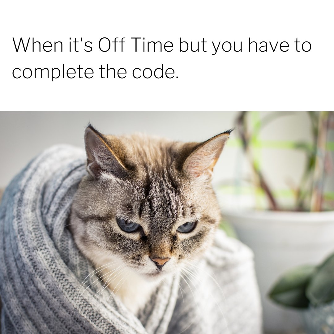 bazzigate's tweet photo. Developers can relate to this 😂!!

Follow Bazzigate to see Amazing content !

#Memes #memesdaily #developersmeme #bazzigate #gamedev #gamedevelopment #unity #unity3d #MobileAppDevelopment #mobileapp #webapp #webdevelopment #Game #games #work #duty #clientes https://t.co/uXpP05zdeW