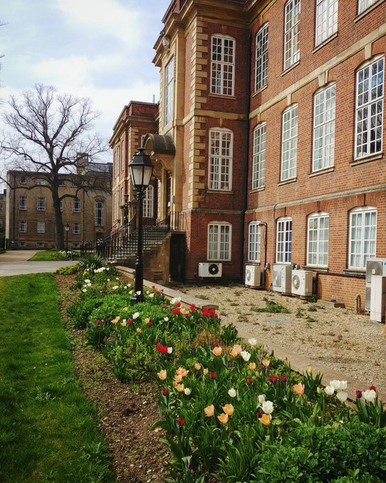 Dunn_School (now @DunnSchool.bsky.social) tweet media