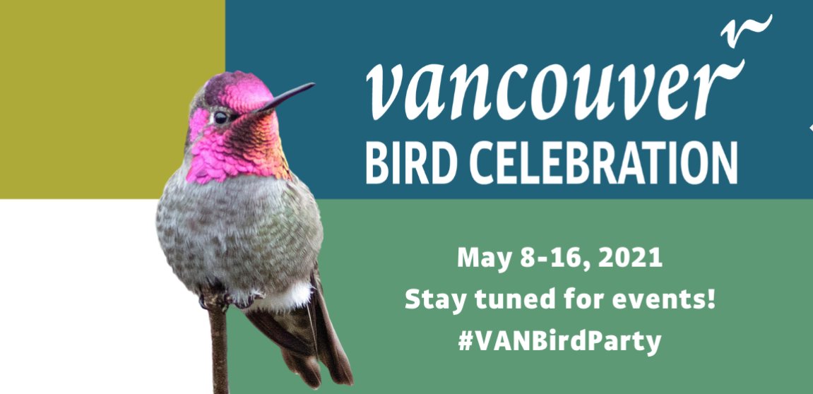 Get ready for #VANBirdParty events this May 8-16th! Learn more at vancouverbirdweek.ca
@VanBirdWeek @BirdsCanada @BirdsCanada_BC