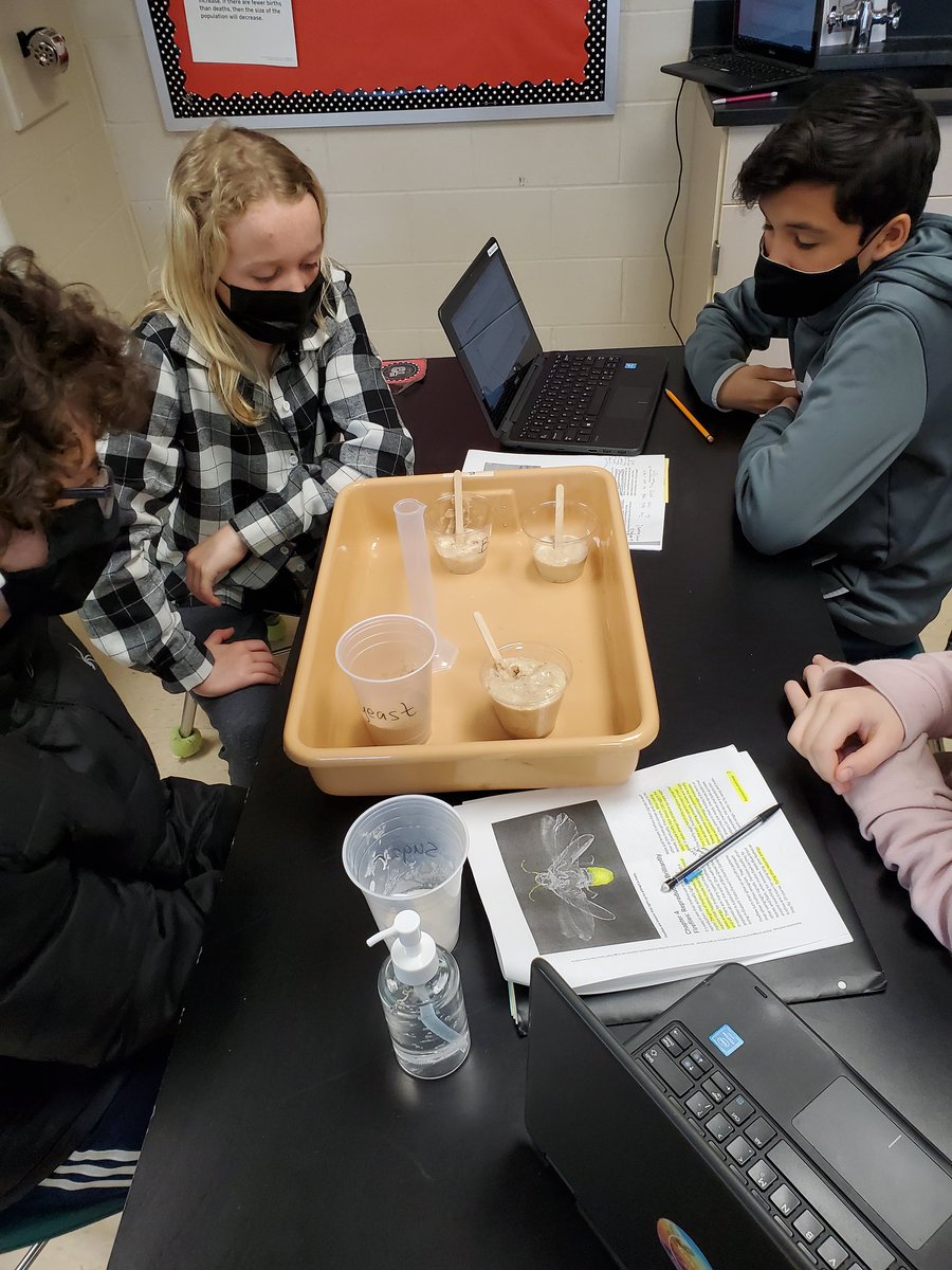 MsHenderson_RMS's tweet photo. 7th grade scientists learn how organisms require energy in order to reproduce by conducting an experiment with yeast @mps_russell https://t.co/LCjt7e6eyv