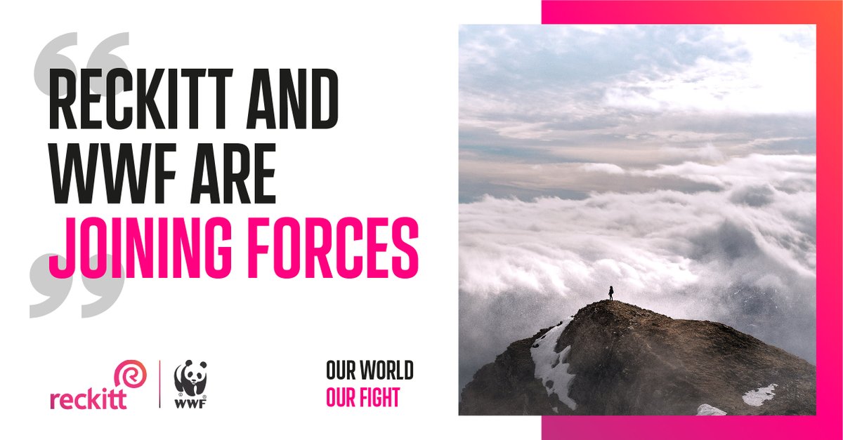 Havas_SO's tweet photo. We're honoured to be working with Reckitt and WWF on their new partnership to reverse the damage being done to our planet and uncover new sustainable solutions for a cleaner, healthier world https://t.co/9wvPAg2V5D #OurWorldOurFight #ReckittxWWF #sustainability https://t.co/RGomINSWYO