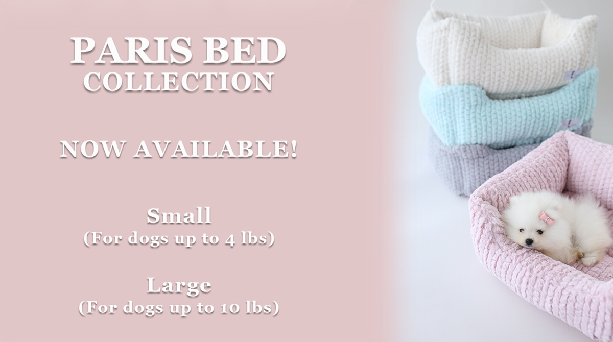 HelloDoggie143's tweet photo. Highly requested Paris Bed is now available in sizes small and large! 🐶💖
Ready for immediate shipping on all of our platforms! https://t.co/A3YCodR7EG
