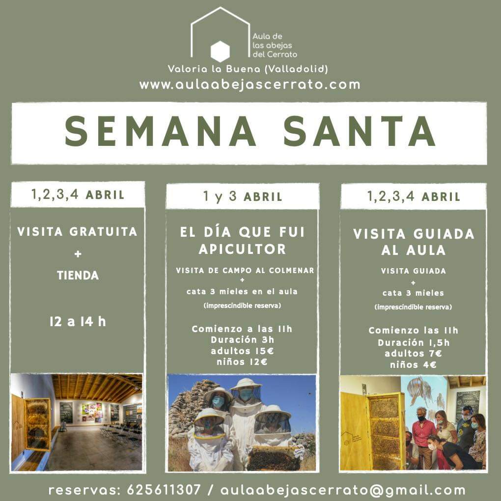 RutaVinoCigales's tweet photo. Te proponemos pasar el dia en #ValoriaLaBuena con visita @aulaabejas @ConcejoBodegas y #MuseoDelCantaro o pasar la noche en @ConcejoHospe y disfrutar del #GR296 o bellos parajes durante #SemanaSanta2021 https://t.co/Chkk1VNwqu