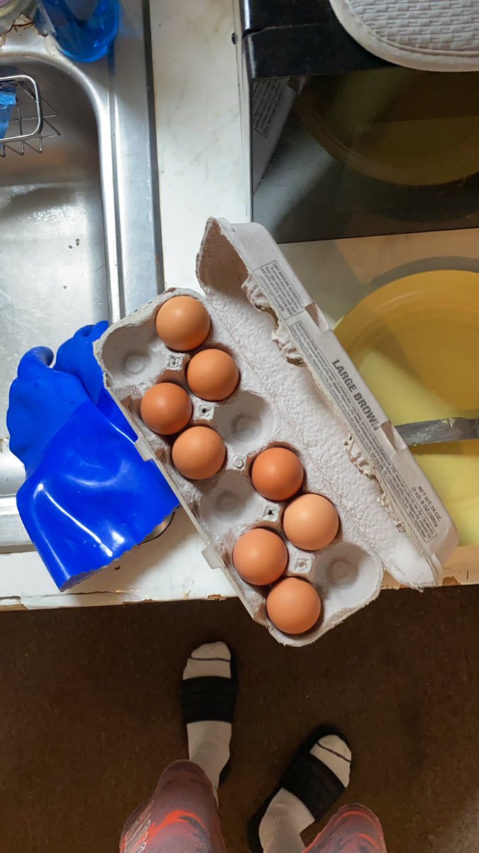 youngwikileaks's tweet photo. #eggselection https://t.co/TXHgYmbqHk
