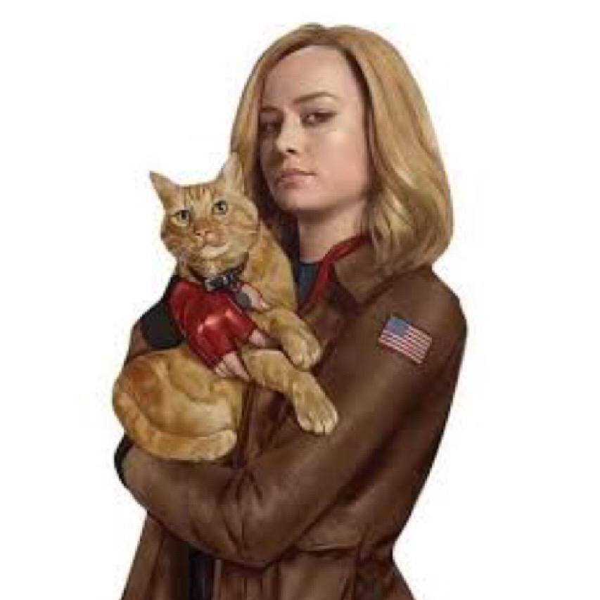 LauraArakak's tweet photo. Post de apreciação da #BrieLarson como Capitã Marvel ❤💛💙
#CaptainMarvel #Marvel #MCU
#MarvelStudios #CapitãMarvel https://t.co/9wP4vaSA3R