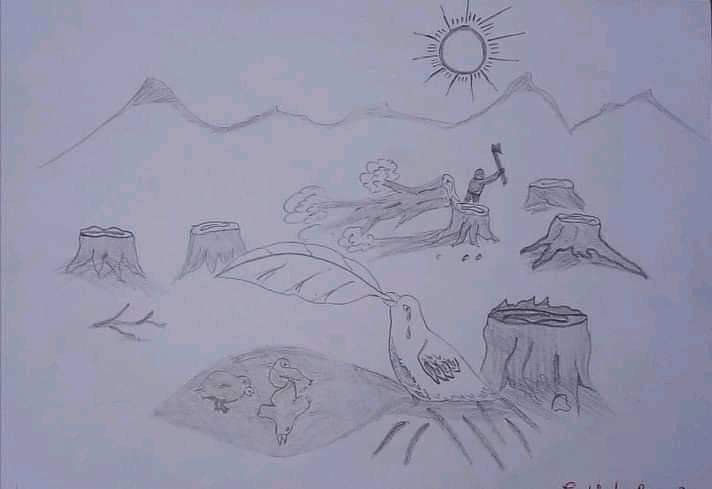 h4ngo's tweet image. #SAVENATURE #SAVEANIMALS #SAVEPOOR🙏