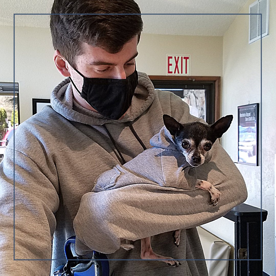 BothellPetHosp's tweet image. Our wonderful new client services representative, Stone, made a new friend when Jake stopped in for a visit. Matching hoodies to boot! #bothell #bothellpet #dogsofbothell #chihuahua #weloveourclients #weloveourteam #vetlife