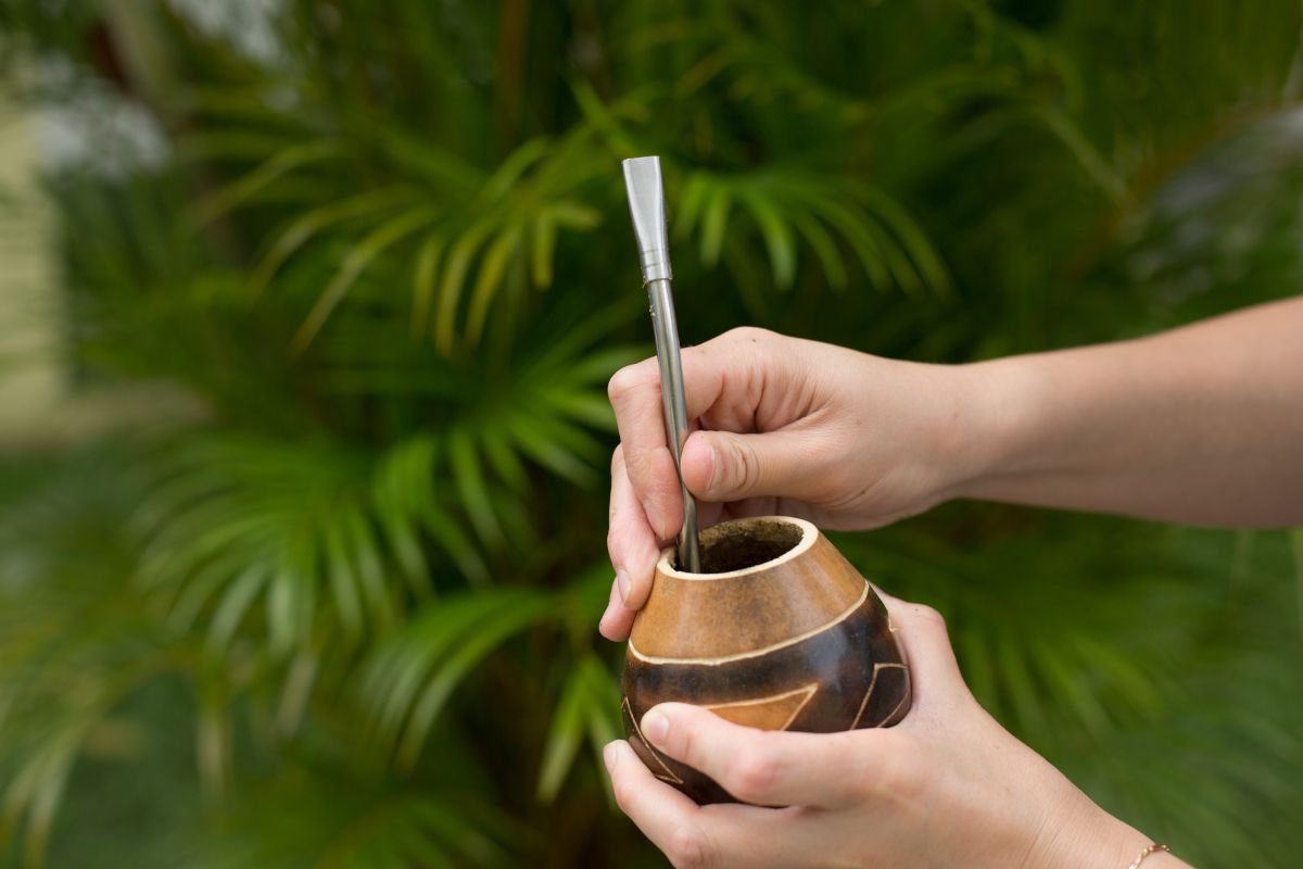 UruShop's tweet photo. Following our article about the natural #gourd, here is a handy article that explains what is what with your natural gourd. You may decide against a natural gourd.. or you may be determined to get to grips with it!
https://t.co/qktKY0LMlO
#yerbamate #yerba #calabaza #cuia #tea https://t.co/fMKuyVqQCx