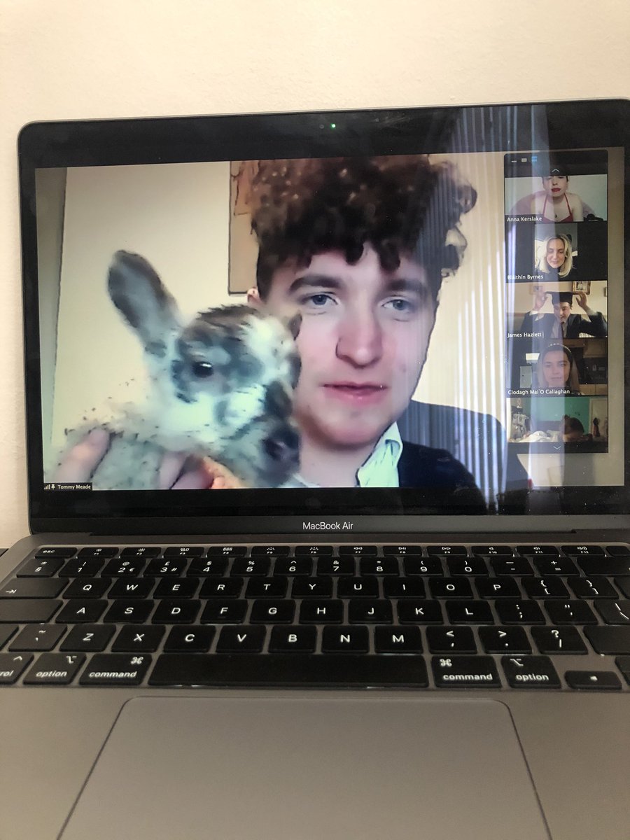 lukestedmon's tweet photo. Delighted to have completed the Learning Waves Broadcast bootcamp!! Not your standard graduation. Congrats to everyone who took part !! #lwgrad2021 

@meade_tommy @LearningWaves https://t.co/5AkAEzxiAQ