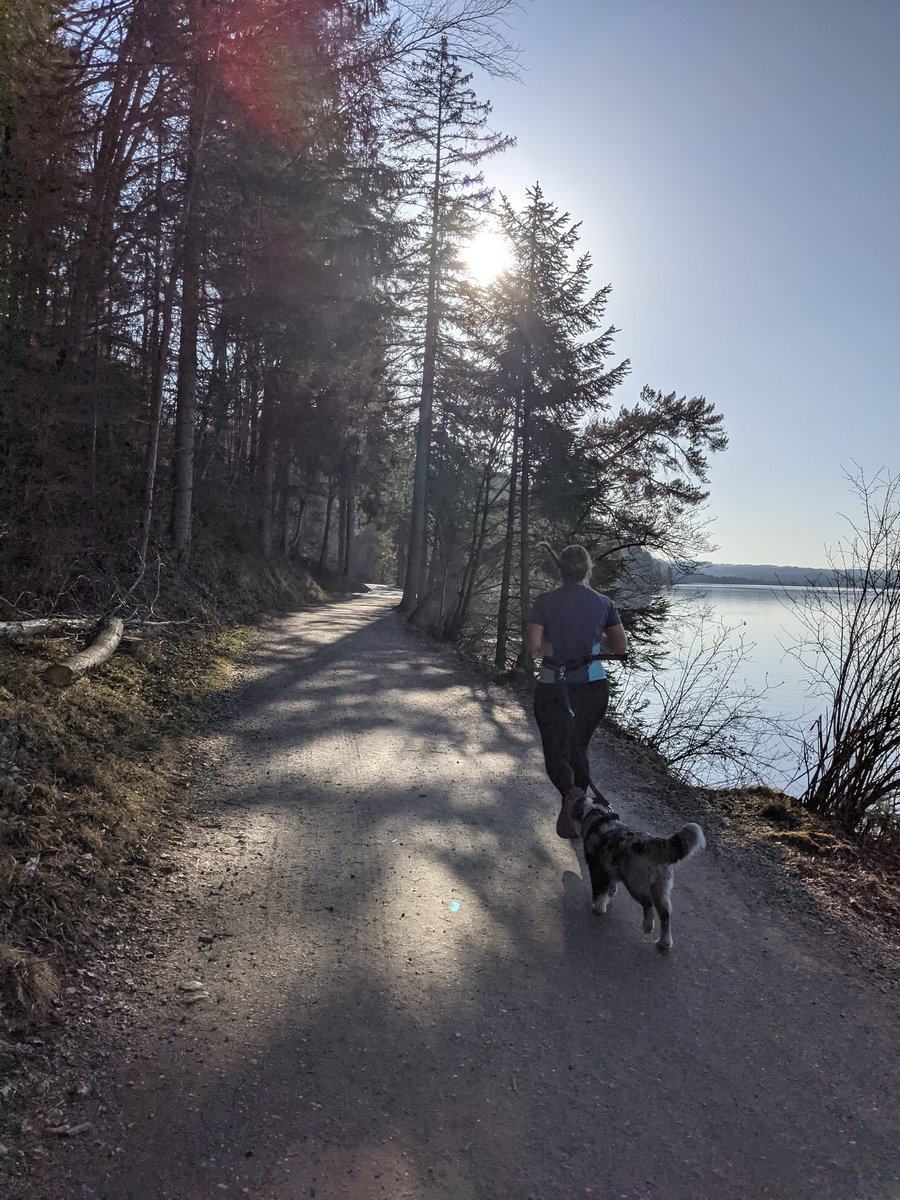 Sandro Gianella tweet media