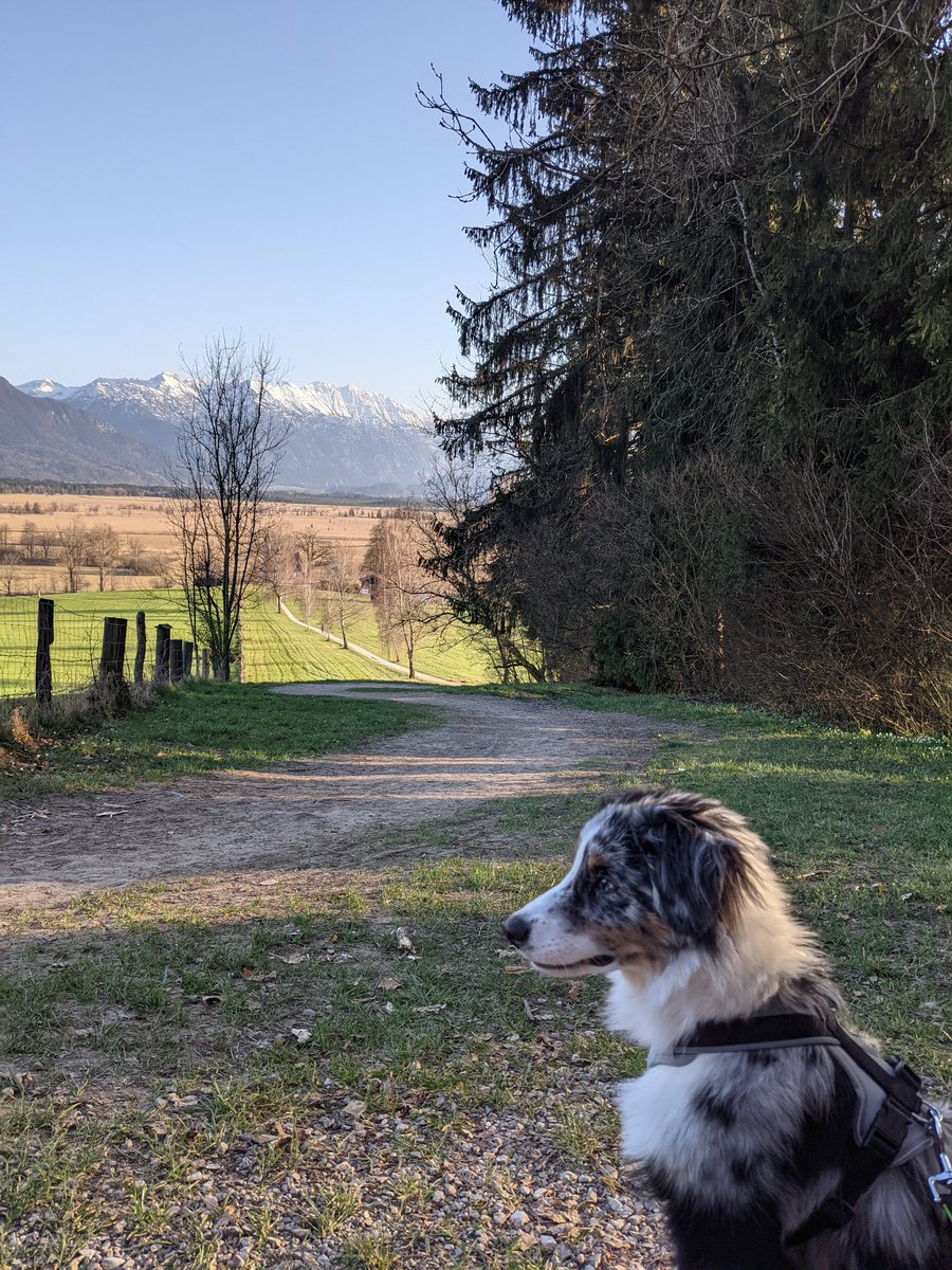 Sandro Gianella tweet media