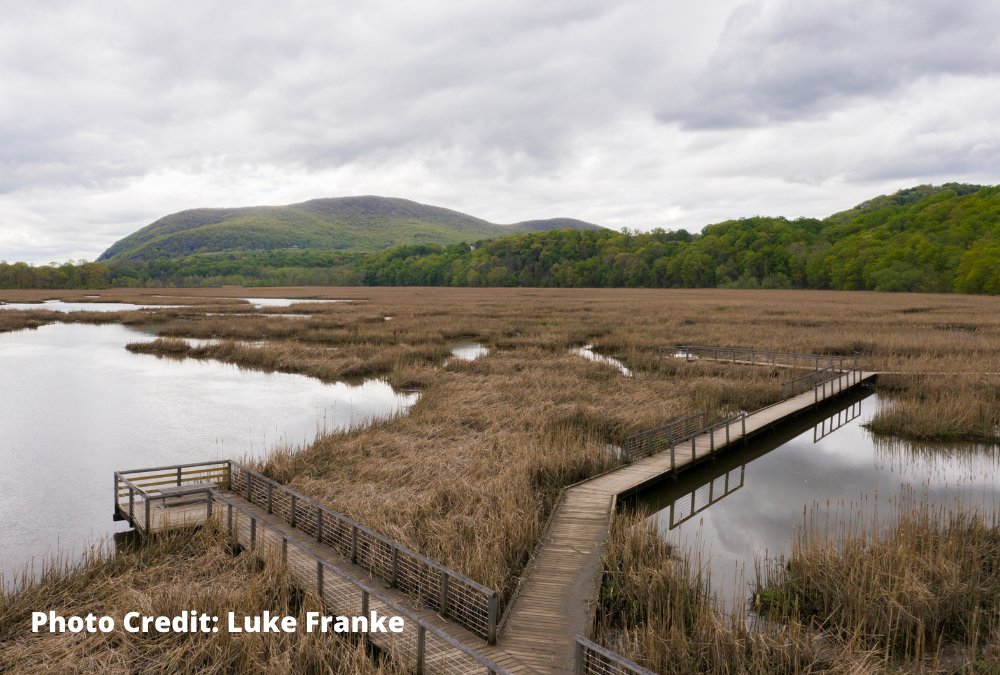 CleanWater_Jobs's tweet photo. The @NYSenate has included the #NYBondAct in the one-house budget. Reinstating the Act would help ensure NYers have clean air to breathe, safe water to drink, and parks to enjoy. Our friends at @adk_council give a great break down of the proposal here: https://t.co/HpPl8BbGnw https://t.co/dhViF6PLxo