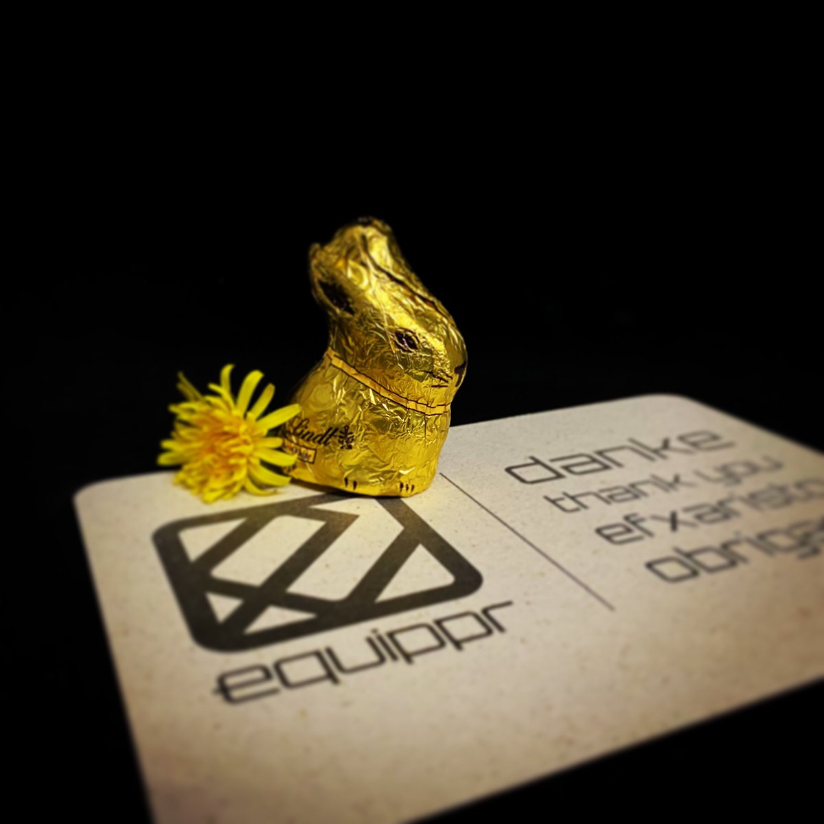 Die Häschen sind limitiert für die letzten Pakete vor Ostern. Die passend dazu auf nachhaltigem Graspapier bedruckte Dankeskarte bleibt auch weiterhin. Wir wünschen euch frohe Ostern! 🐰 #happyeaster #lindtosterhase #nichtdaspapierrauchen