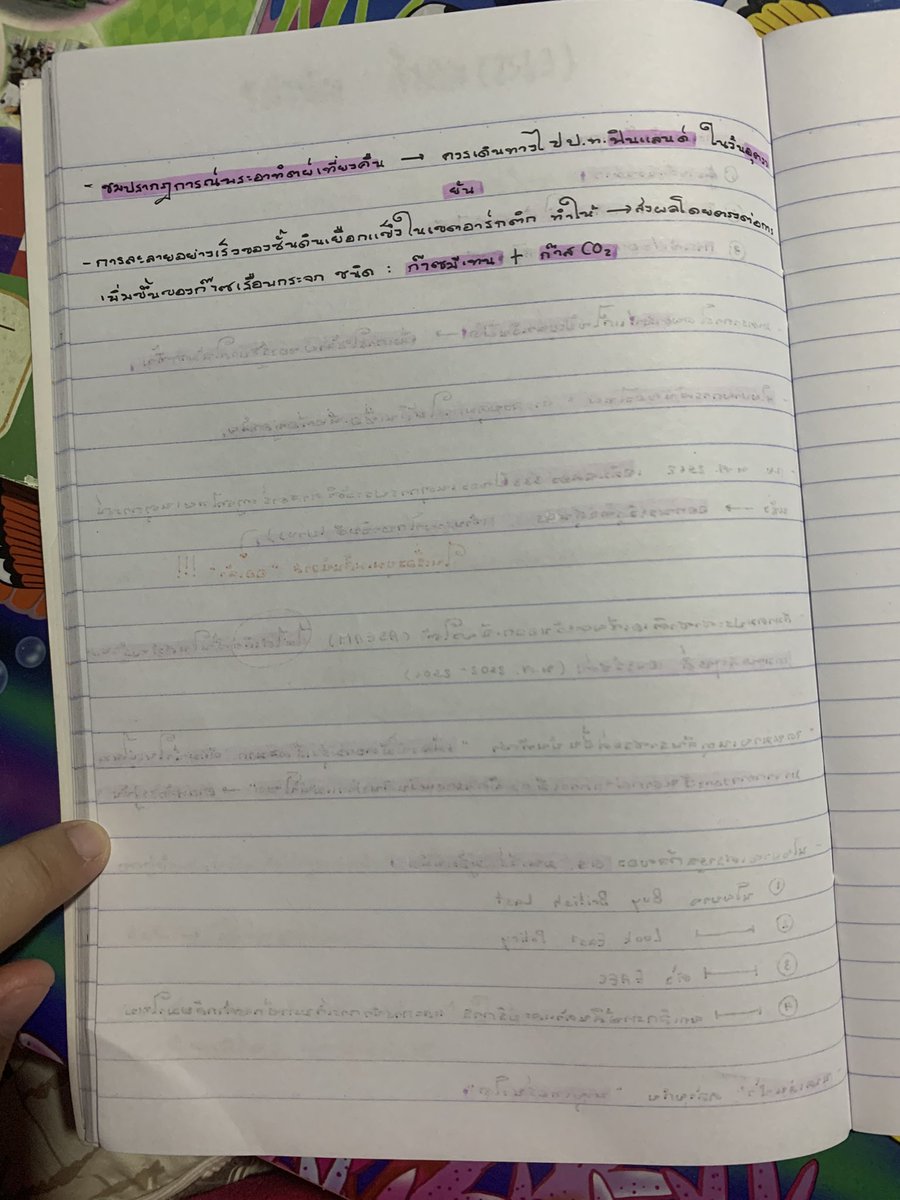 xxxwonder_'s tweet photo. 9วิชาสามัญ : สังคม 2563 ปีล่าสุด❗️❗️❗️
 #onet #dek64 #dek64studygram #studygram #onet #9วิชาสามัญ #สังคม https://t.co/WzeNipexWN