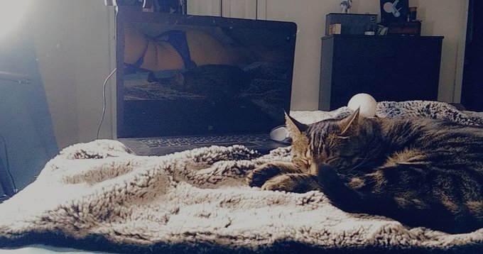 Sorry, can't stream yet, somebody took my spot 💖💻 https://t.co/nE5SboOmSQ