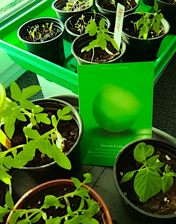 #Lichtsprache_Energien wirken auch bei Aussaat und Jungpflanzen. Das Ergebnis schafft die Basis für natürliche gesunde Wuchskraft und spätere Ernte. Empfehlenswert für Pflanzen &amp; Menschen: lightworkobjects.com/produkt/gesund…