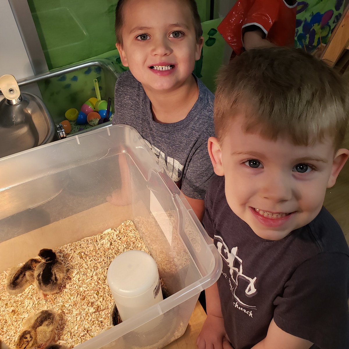 AprilJemes's tweet photo. We have so much fun learning and observing our eggs finally hatching! #liltrojans https://t.co/a8FyUvXs1M