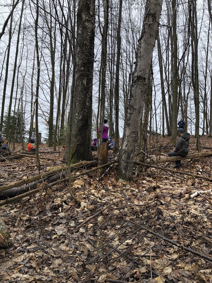 MrsWroeQEPS's tweet photo. Guided imagery and using ‘soft eyes’ and ‘hard eyes’ today with @Beachburg_PS as S’s describe observations to connect to their descriptive writing #projectwild #inspiredlearning #RCDSBexperientiallearning with @RocknFraser @JaneGood178 https://t.co/uzJ1ZfrXoo