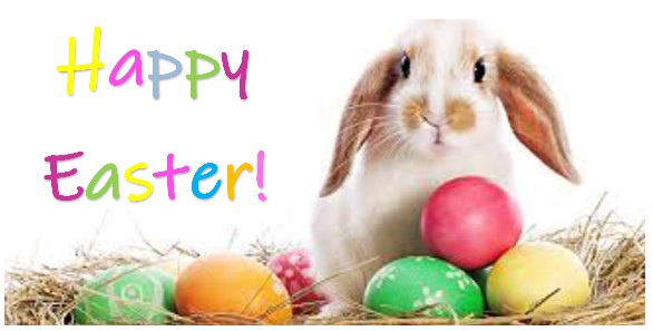 There will be NO bus service on Friday, April 2, regular service resumes Saturday, April 3 @ 8:00am. Wishing everyone a safe and Happy Easter from our Transit family to yours!