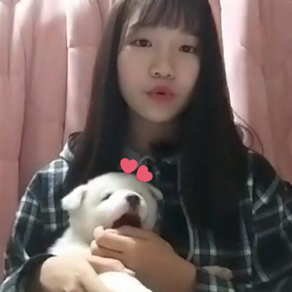 thinkingabtyuri's tweet photo. thinking about predebut gamja π₯Ίπ§‘
#GAMJA #JOGAMJA #κ°μ #μ‘°κ°μ #μμ΄μ¦ννΈμ€ #IZPETS https://t.co/oWsgvtmow4