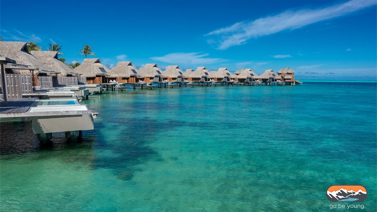 Go_Be_Young's tweet photo. How did we save over $11,000 on an #OverwaterVilla in #Tahiti?  Check it out: https://t.co/csS6U432P0

#BoraBoraTravel #TahitiTravel #FrenchPolynesia #TropicalSnorkeling #DreamHoneymoon #BestOverwaterBungalow #BestOverwaterVilla #OverwaterBungalow #LuxuryTravel #LuxuryResorts https://t.co/WE9EgL1p9X