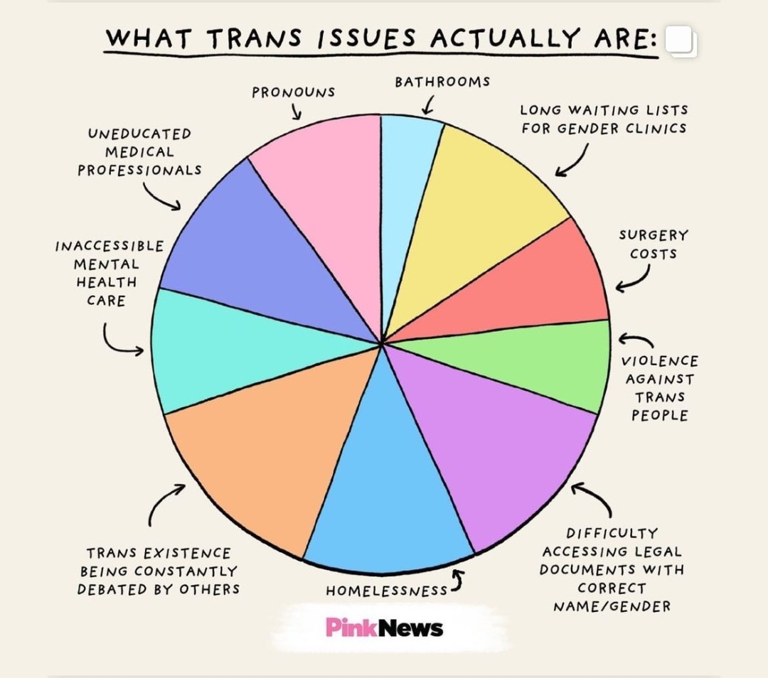 QueerLitUK's tweet photo. Time to think about the real issues right!

#TransDayOfVisibility #TDOV https://t.co/iUOb61YlQM