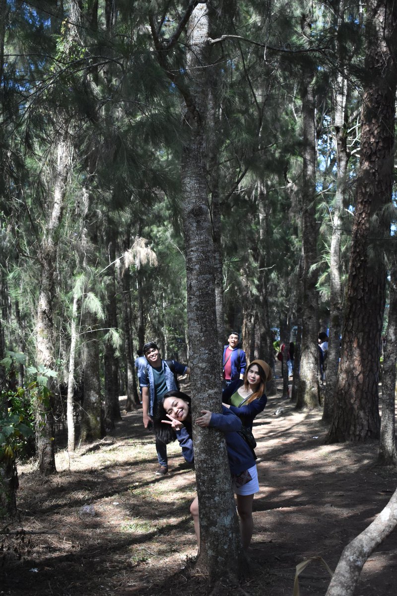 ehlybelly's tweet photo. Always had sepanx even as a kid, but now im a grown up it hits different. Maybe because im able to feel more... #insertKerrthephotographer https://t.co/hmVNhcZ5fw