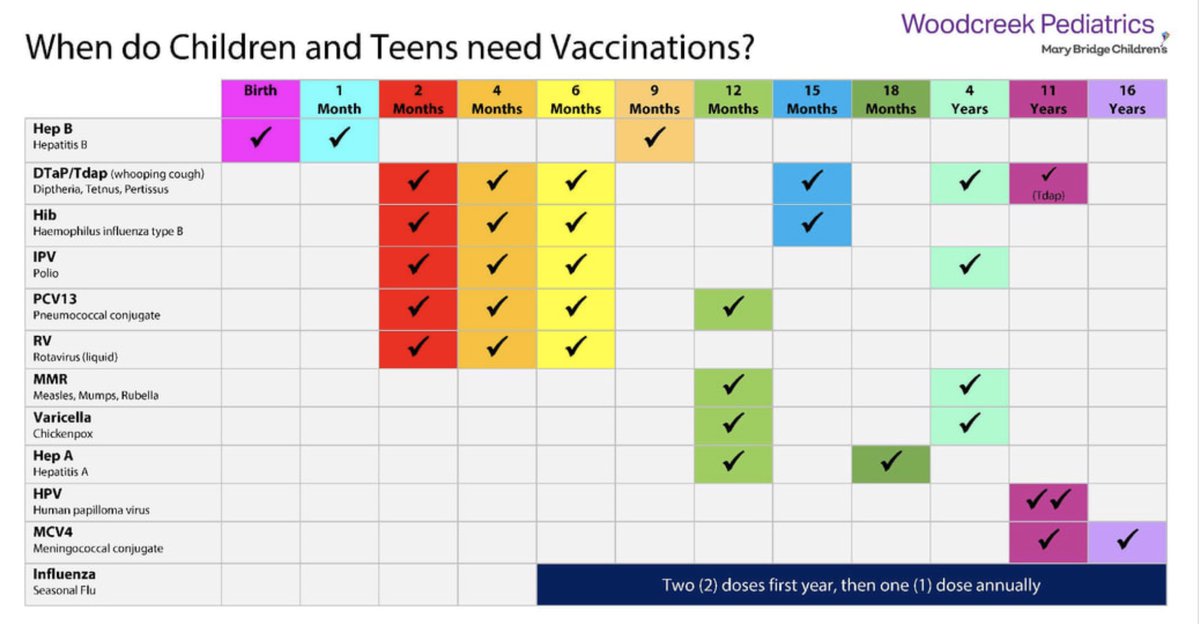 anniezempp's tweet photo. Vaccines are a way to combat health issues and diseases in yourself and in your community by creating immunity. This chart shows the vaccine and the age that children should be receiving their vaccines! #healthmain @Health311 https://t.co/SEi0v21oe3