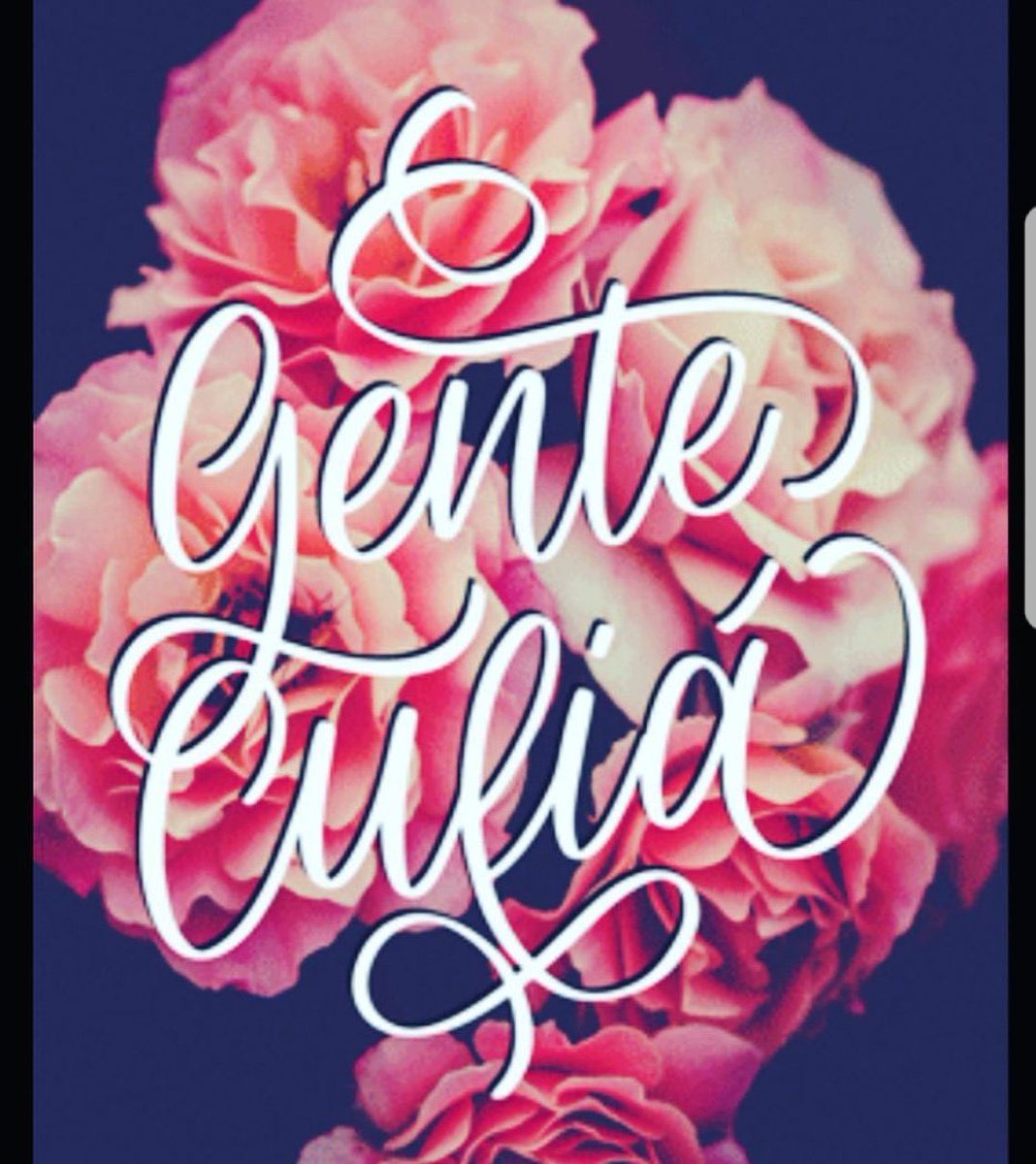 SoaPalula tweet media