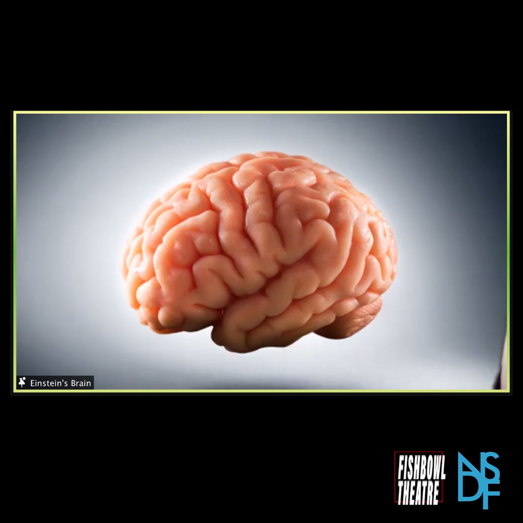 Fishbowl Theatre tweet media