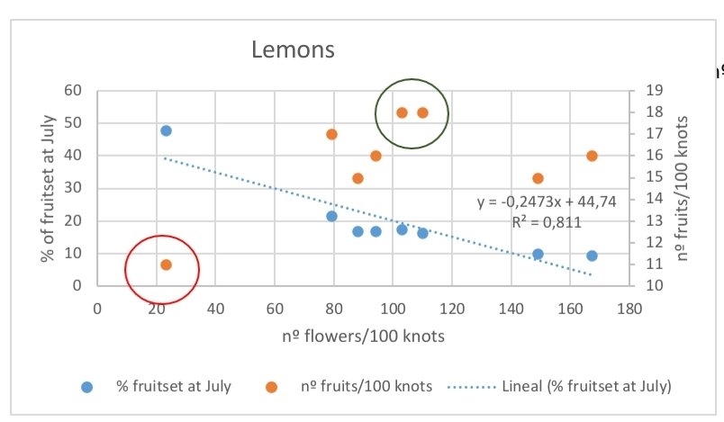 opcitex's tweet photo. For all the studied varieties more flowers mean less % of fruitset.The final crop will depen on both. So Desired (green circle)/No Desired (red circle) n°of flowers are shown below:
Lemons: 110/23
Mandarins: 410/115 &amp; 650
Grapefruits: 600/150
Oranges: Perhaps 390/208 but unclear https://t.co/ITgNiShRJU