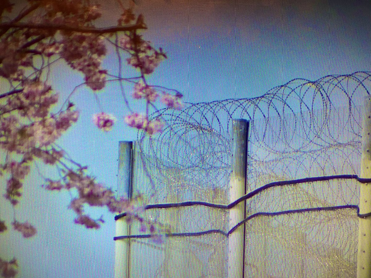 darshnasoni's tweet photo. “Locked up for 23 hours a day, no family visits, no hope - one woman on my wing ended up taking her own life.”
Prisoners in the pandemic: A report by the @ZMTRUST, shared exclusively tonight with #C4News, looks at the impact on the mental health of men and women inside. https://t.co/K8VIyYSsp2