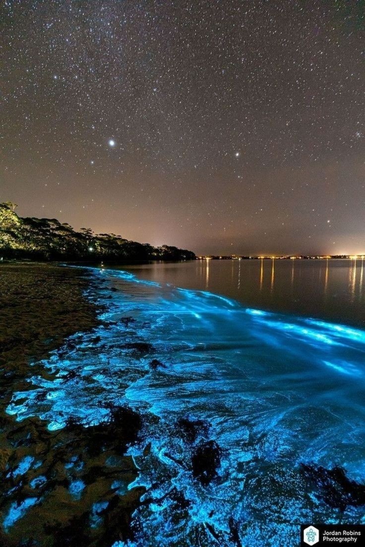 zentripstar's tweet photo. Bioluminescence at Jervis Bay New South #Wales #Australia
Retweet and Follow @zentripstar
~
#traveler #travelphotography #travel #travelblog #travels #travelling #traveling #traveller #traveldiaries #travellife #traveltheworld #australia #traveladdict #australianmade #travelphoto https://t.co/cg9xllM6Gc