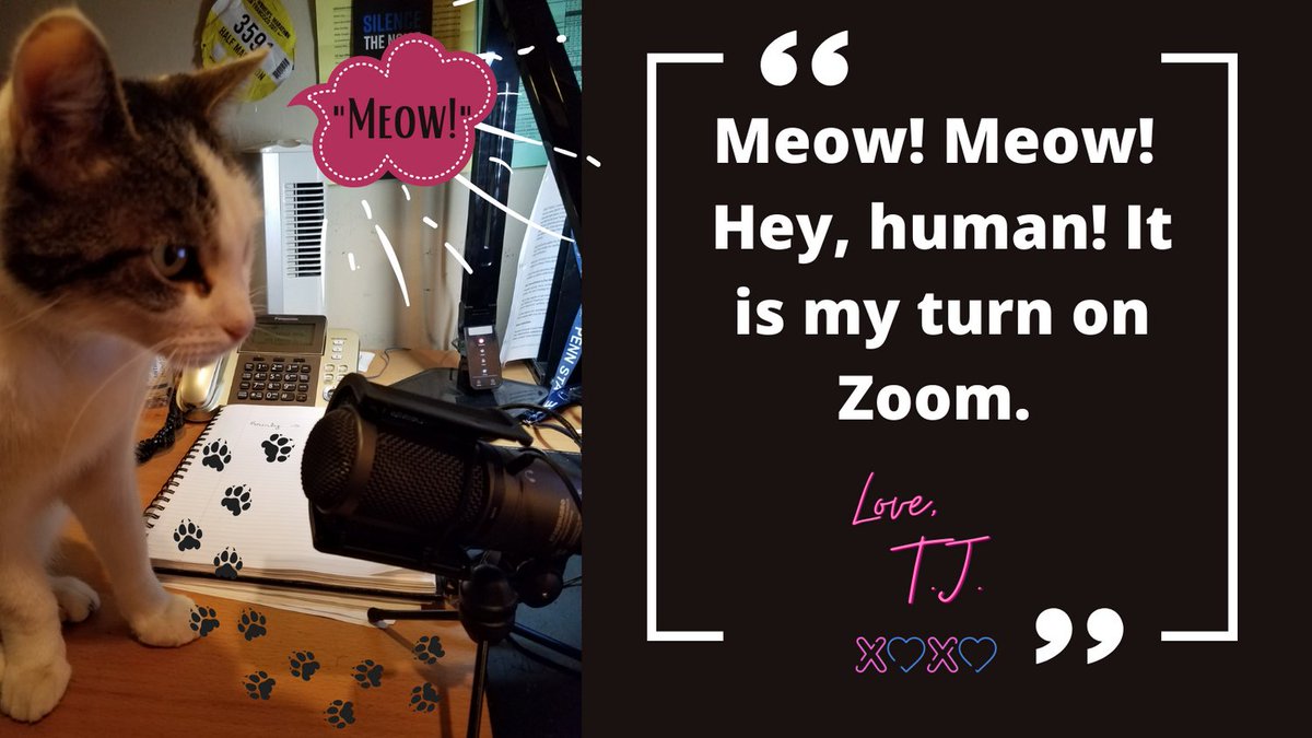 Event_TechGuru's tweet photo. Even the cat wants in on #Zoom He meows in my desk mic every day around dinner time. And he has sat on my keyboard during meetings. Cracks me up! #ZoomLaughs #TJrocks!! #ZoomLove https://t.co/A24hcyxiPP