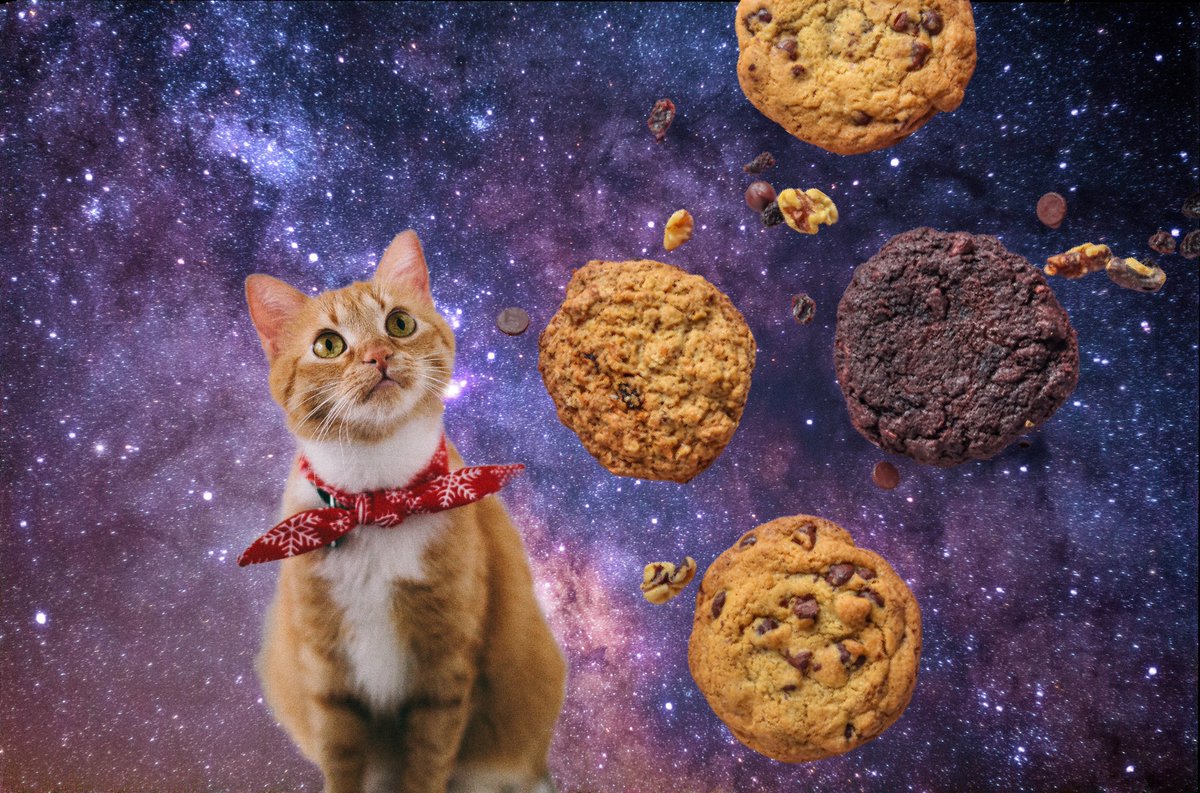 akaDarcee's tweet photo. I was bored and made space cat mousepads.  https://t.co/Myy5h6ZPD6 https://t.co/BuQ5l2Fsw9