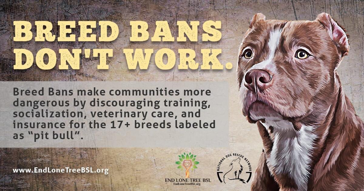 Fayclis's tweet photo. #PCPO #Ontario. Facts about #BSL and a few of the numerous reasons to #EndBSL #SupportBill147 #EndTheBan #FollowTheScience @fordnation https://t.co/j9EozOl7y5