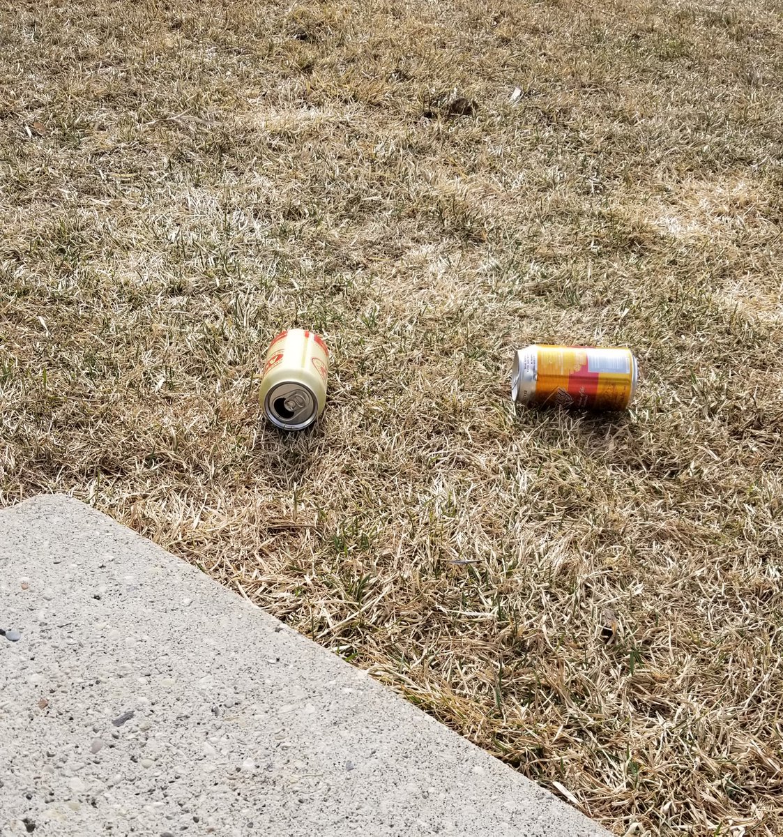 DustbunnyPro's tweet photo. Update: @QueenofDogHair 
We're at "beer cans on the lawn" stage of the pandemic. https://t.co/hMm3a4d3Jq