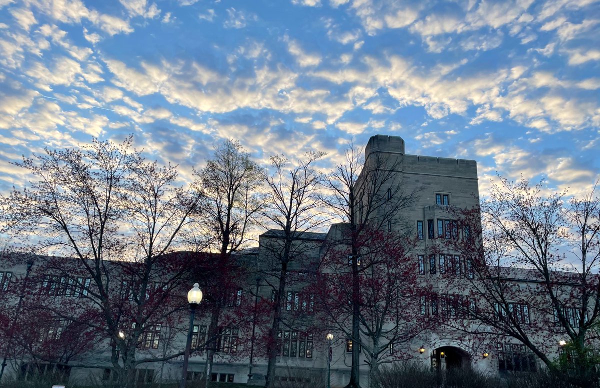 Austen Parrish tweet media