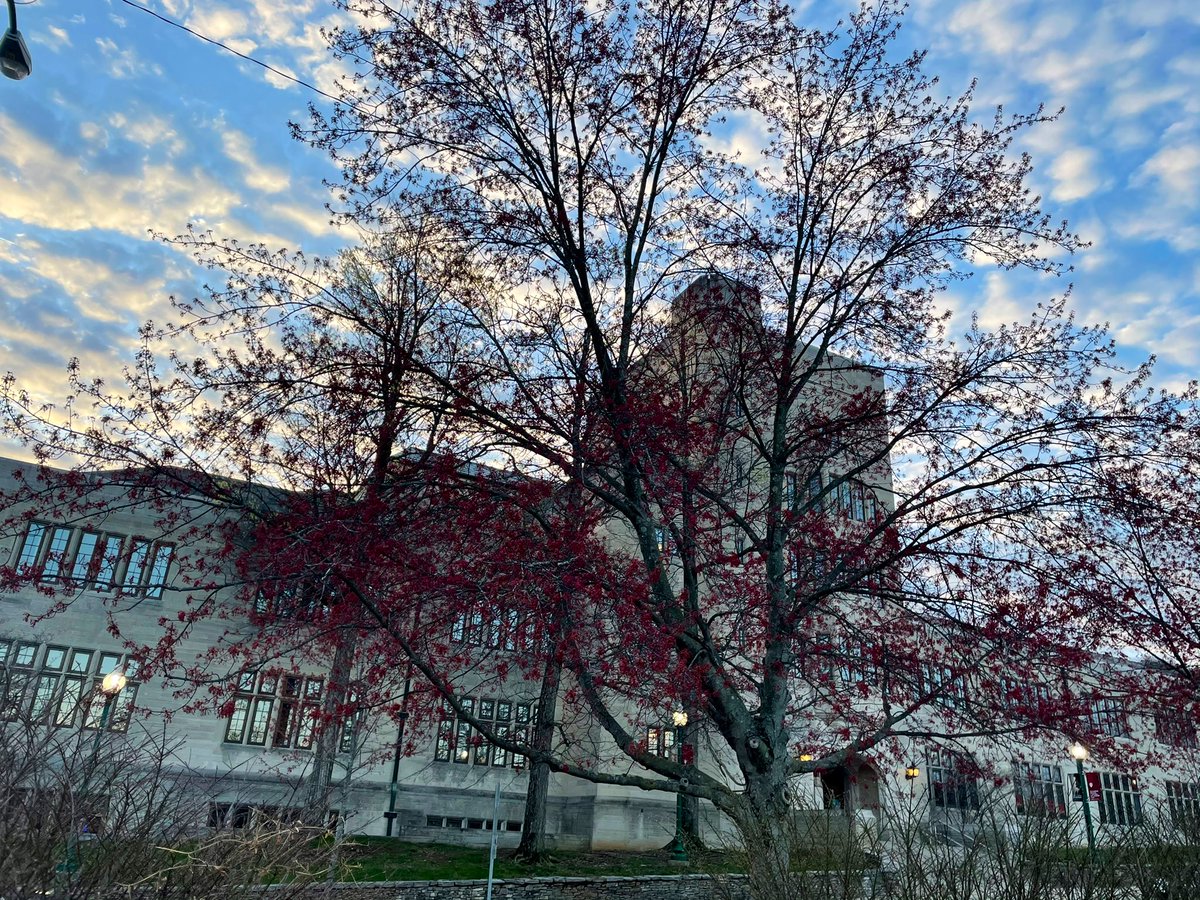 Austen Parrish tweet media