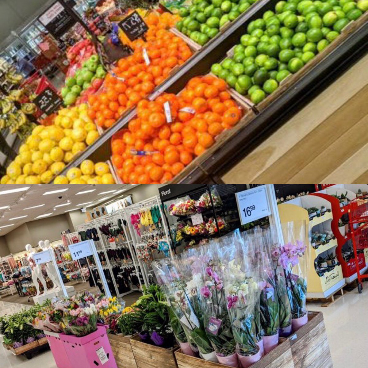 #T2373 #Target #G192. #EasterWeek. @yanko_william <a href="/tonypena/">Tony Pena</a>