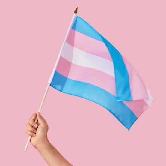 robtiko's tweet photo. Podemos decir muchas cosas, pero lo único que importa es que: #TransEsAmor #TransEsBello #TransIsBeautiful #TransRightsAreHumanRights #TransDayOfVisibility #DiaDeLaVisibilidadTrans #FeminismoIncluyente 🏳️⚧️ https://t.co/AL5fTEn9oJ
