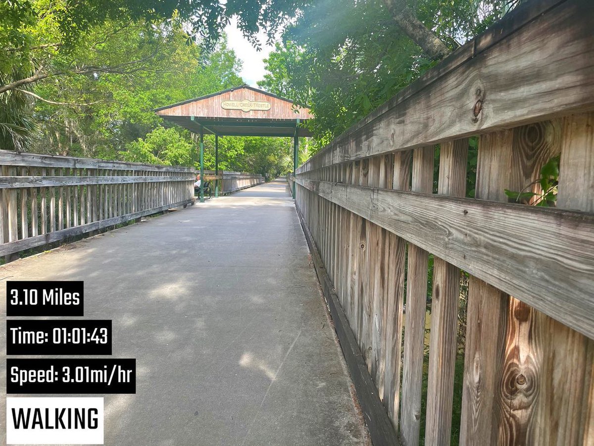 Jodicab22's tweet photo. Slow 3.1 miles and the humidity damn near killed me, but I’ve survived! #EveningWalkies #FuneralForMyFat #FloridaLifeisSweaty

📸 https://t.co/Vmacztavmz via https://t.co/5ttQiEdWP9 https://t.co/0reTiz2aUJ