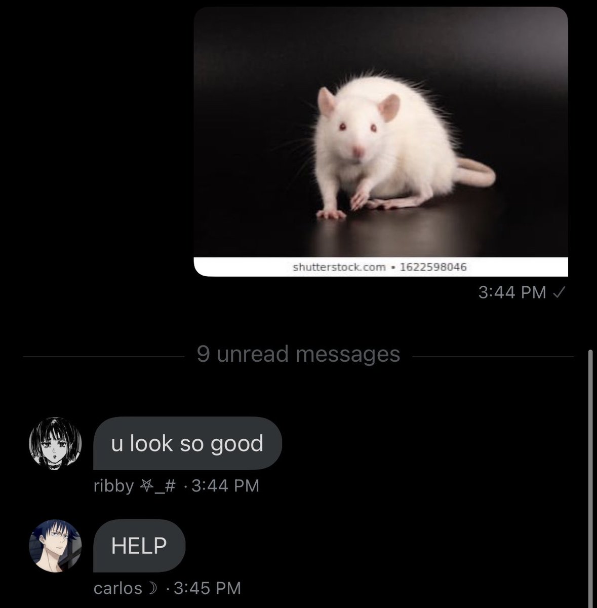 dickersgc's tweet photo. (yes i am making a comeback)

ribby seems to be on a comedic roll, congratulations.
#shutupribbychallenge #endribby https://t.co/oPwzclSatx