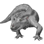 K Ta けーた ラーメンlover S Recent Tweets 3 Whotwi Graphical Twitter Analysis