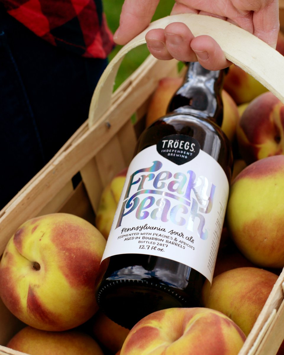 TroegsBeer's tweet photo. Releasing Thursday at #Troegs:
- 16oz cans of Scratch #432 Keller Bier. Crispy malt backbone with very soft and subtle notes of bright berry &amp; orange rind.
- Cork &amp; cage bottles of Freaky Peach, a PA sour fermented with peaches &amp; apricots and aged in bourbon barrels. #PABeer https://t.co/u8EMTgNAca