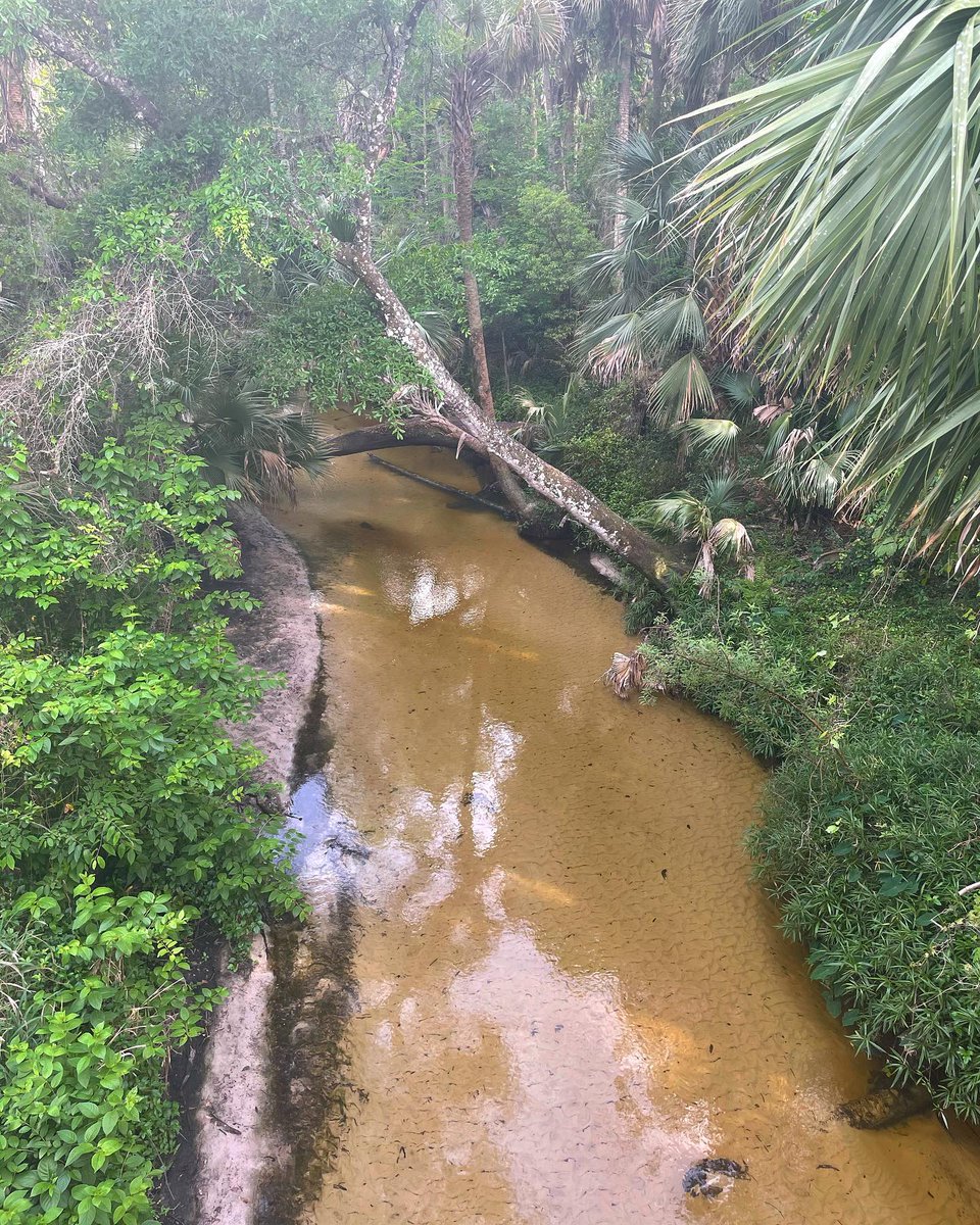 Jodicab22's tweet photo. For some it’s an adventure, for others it’s just a bridge.
.
.
#explorer #floridastuff
📸 https://t.co/o6Rfa9VFbV via https://t.co/5ttQiEdWP9 https://t.co/pC7BDrj7su