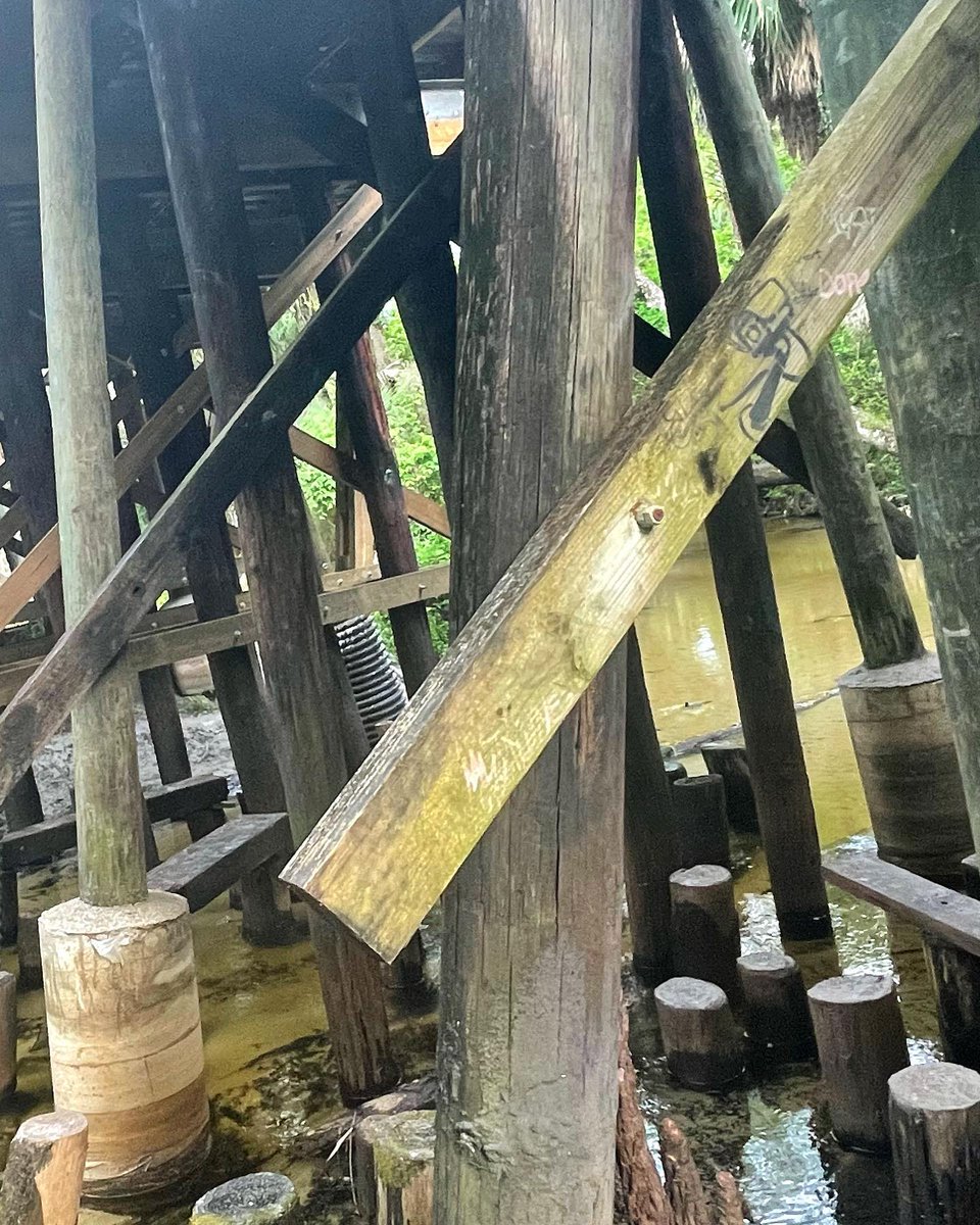 Jodicab22's tweet photo. For some it’s an adventure, for others it’s just a bridge.
.
.
#explorer #floridastuff
📸 https://t.co/o6Rfa9VFbV via https://t.co/5ttQiEdWP9 https://t.co/pC7BDrj7su