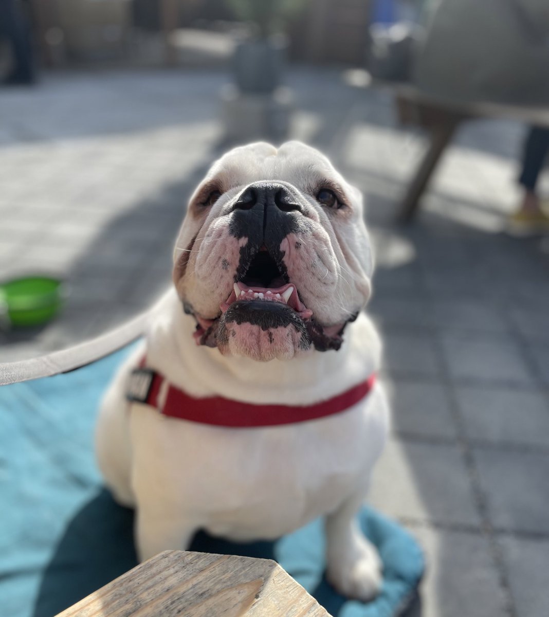 My baby loves him some sunshine <a href="/Reubensbrews/">Reuben's Brews</a>