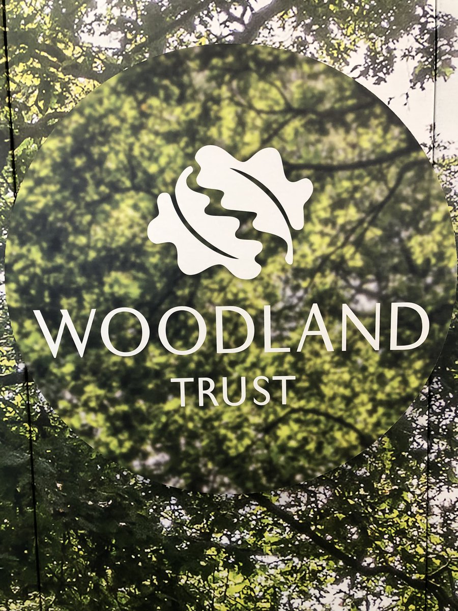 WT_Darren's tweet photo. #RECRUITING There’s many ways to tackle the climate &amp; nature crisis - do you have the passion and skills to play a crucial role in our #Finance team.  Every part of the @WoodlandTrust family deliver our conservation ambition, with and for people, for nature.  ARE YOU WHO WE NEED? https://t.co/Tdiq6MS4Bp