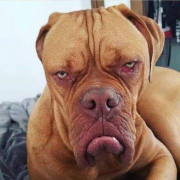 No maan it’s too much adverts bo lenah #Somizi